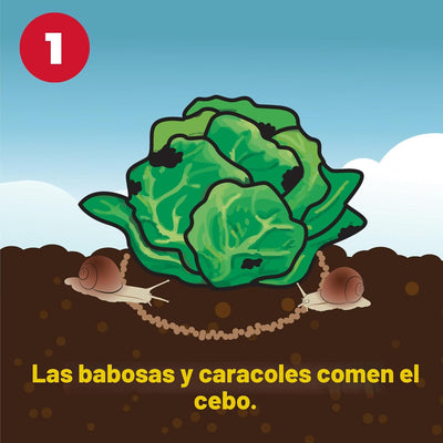 Asesino babosas 3.5lb color marrón