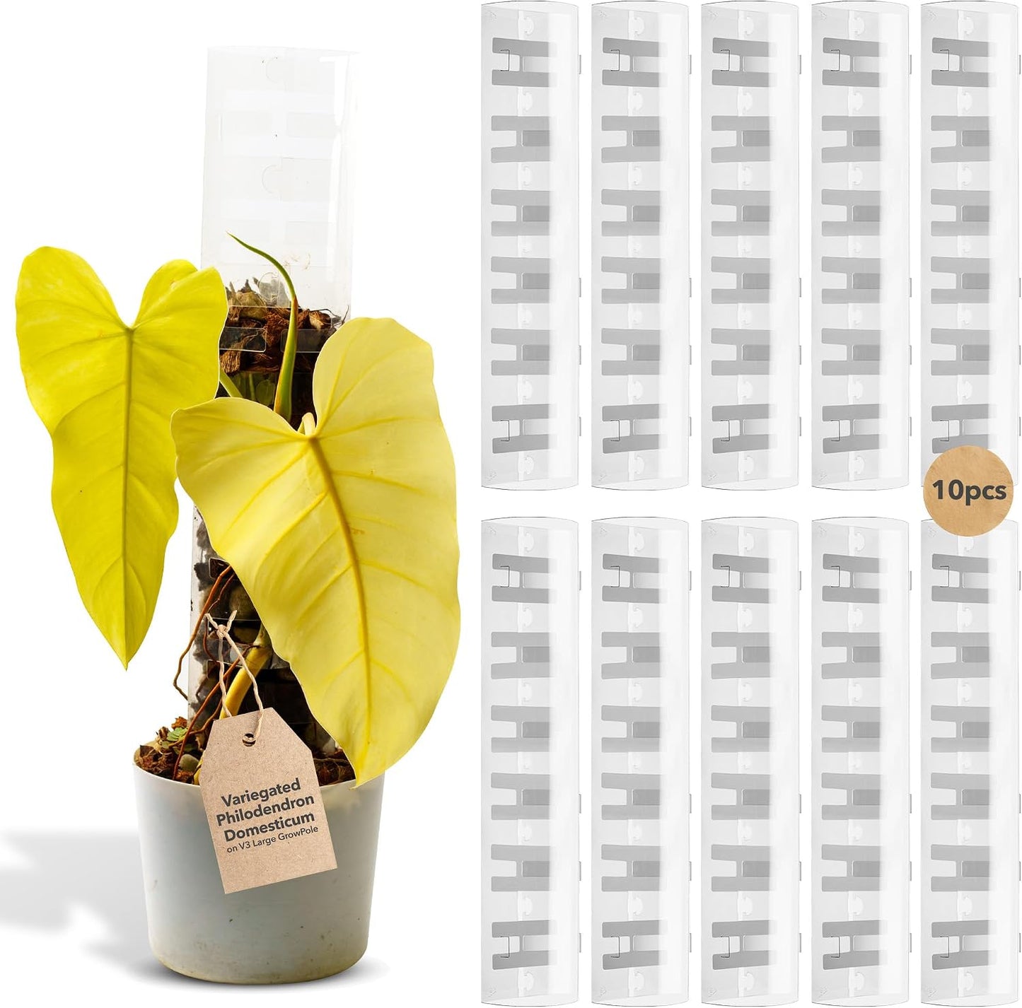 Poste trepador plástico apilable para plantas Monstera
