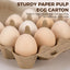 Pack 50 cajas huevos 3x4 reutiliz. almacenamiento