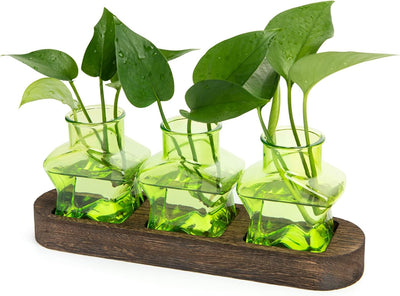 Soporte propagación plantas madera jarrones macetas