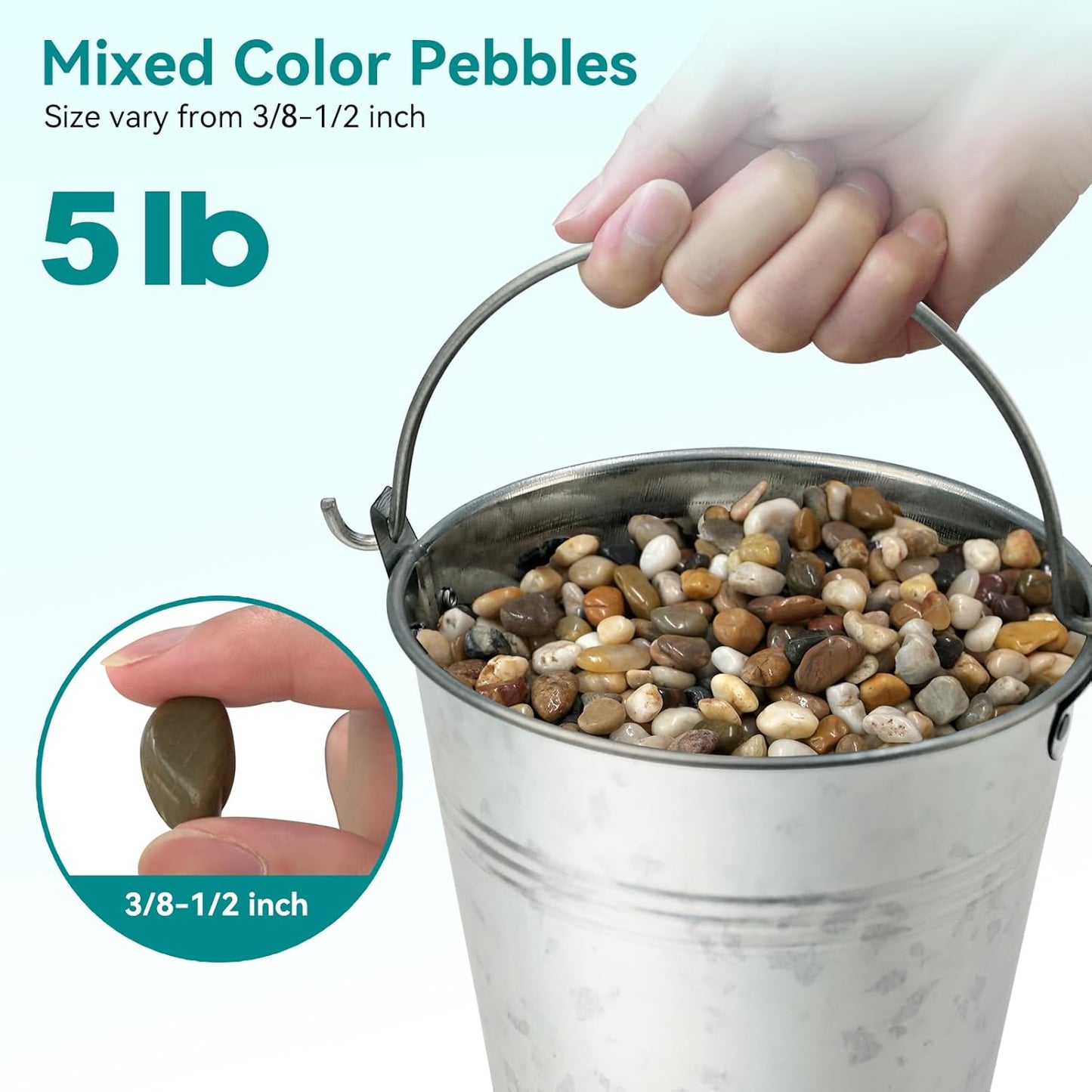Rocas decorativas para plantas interior 3/8"