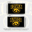 Bandera UI Hawkeyes 3x5ft tela poliéster duradera
