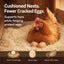 Almohadillas nido aves corral pack 5