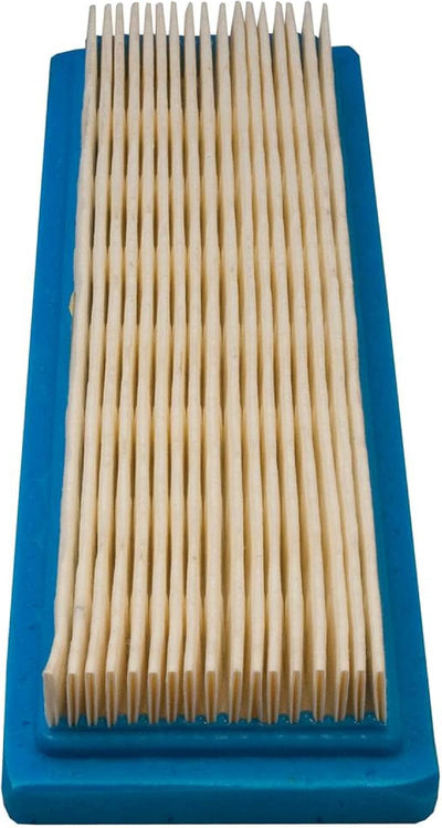 Filtro aire Tecumseh 35500 100-883