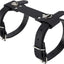 Correas cuero ajustables para motocicleta, cama picnic