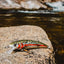 Cebo Topwater Pop-R Plateado/Negro 3