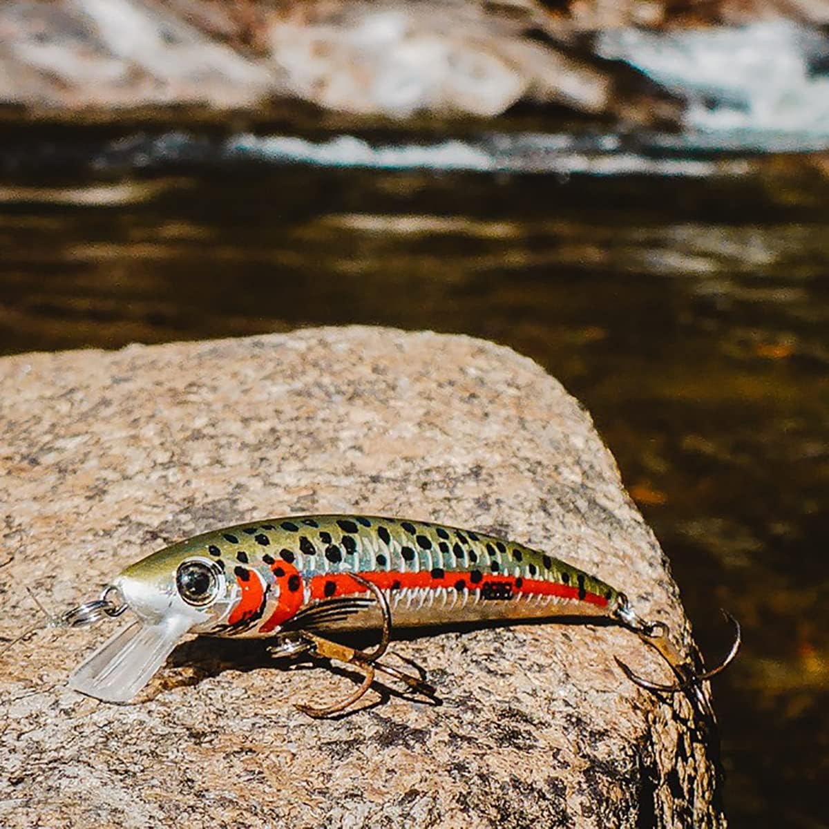 Cebo Topwater Pop-R Plateado/Negro 3