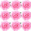 9 Broches Rosas Mexicanas Rosadas para Cabello Bodas Fiestas
