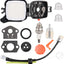 Filtro aire PB2520 con kit para soplador Echo