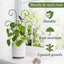 Enrejado apilable para plantas trepadoras y hiedra