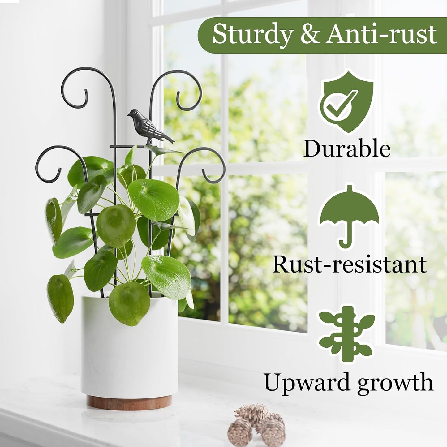 Enrejado apilable para plantas trepadoras y hiedra