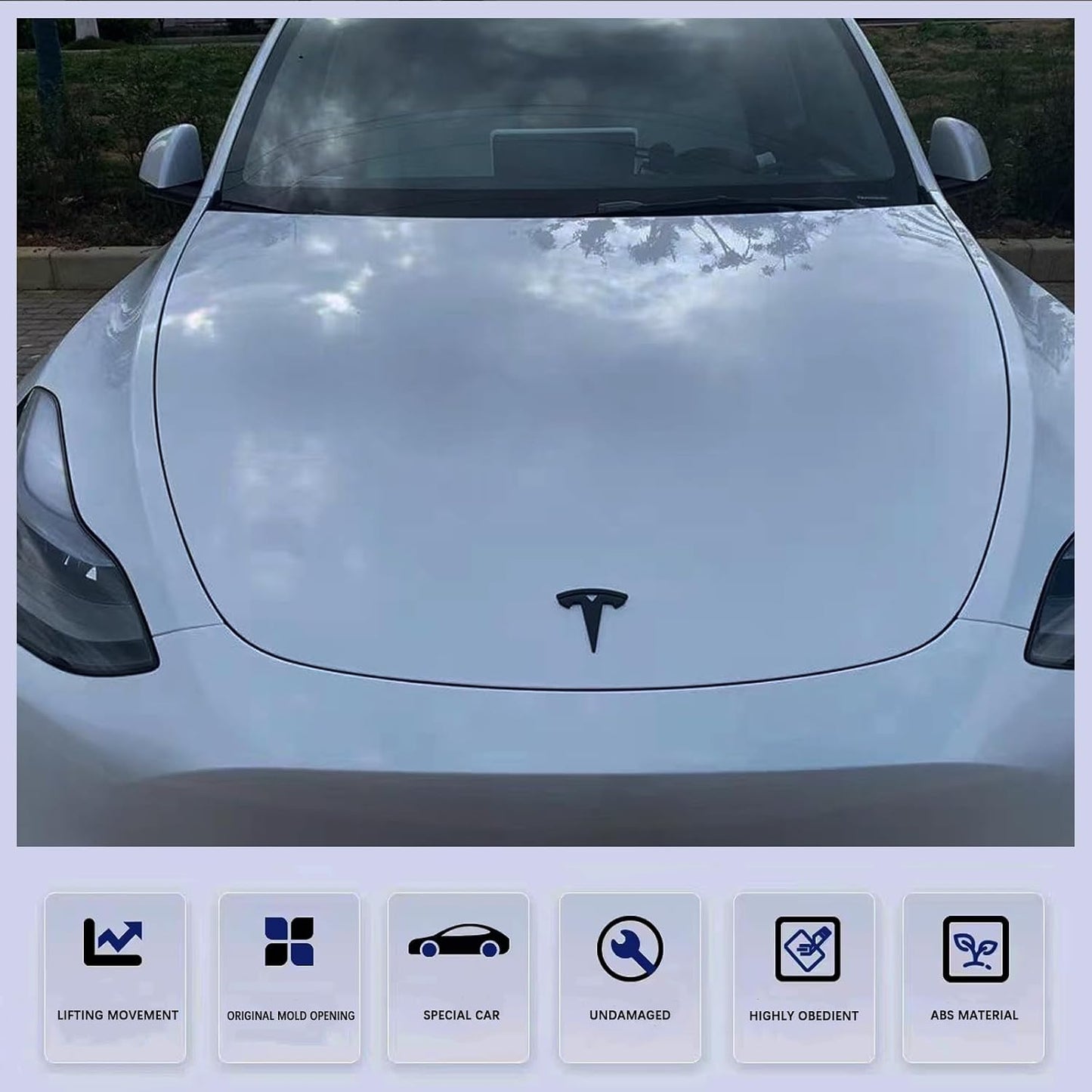 Cubierta adhesiva emblema Tesla Model Y negro mate