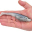 Cebo blando PowerBait CullShad para pesca