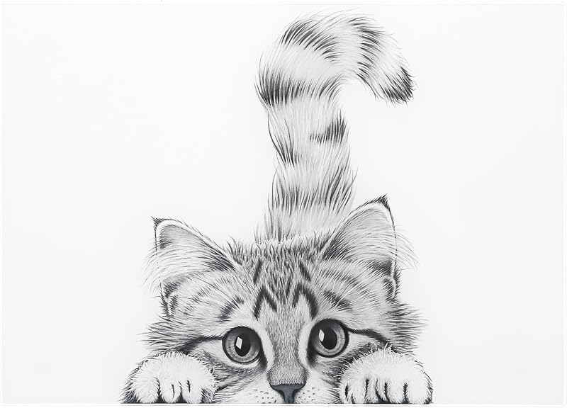 Tabla cortar vidrio 13.75x9.75pulg para gato decoración cocina