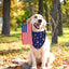 Pañuelos perro ajustables bandera USA juego 2