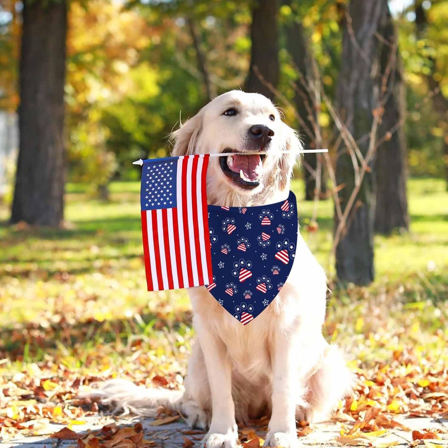 Pañuelos perro ajustables bandera USA juego 2