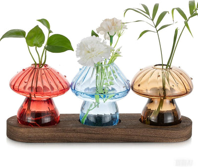 Soporte vidrio para hongos set 3 madera decoración