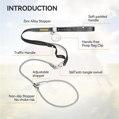 Correa antideslizante para perro asas dobles collar negro 6ft