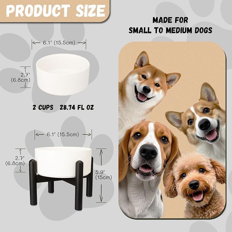 Cuenco elevado cerámica perros 6pulg acero inox 28.75oz blanco
