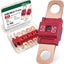 Fusibles 50A para coches y camiones pack 6
