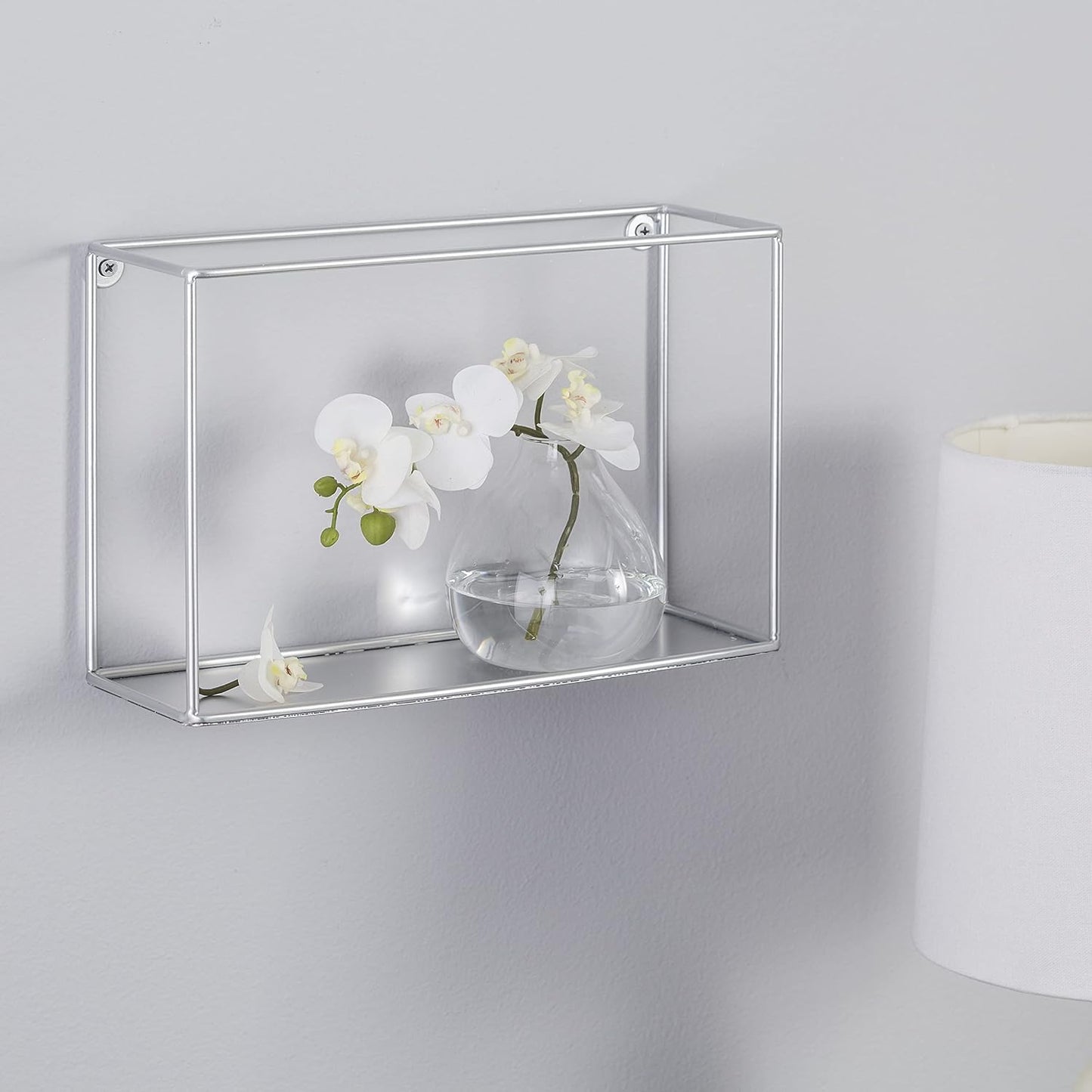 Espray antióxido Bright Coat