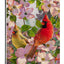 Bandera decorativa verano pájaros rojos y amarillos