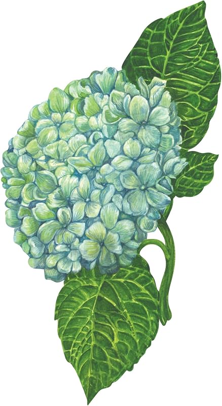 Set 12 Tarjetas Decoración Mesa Hechas EE.UU. Hortensia