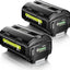 2 Baterías Litio Repuesto Ryobi 40V