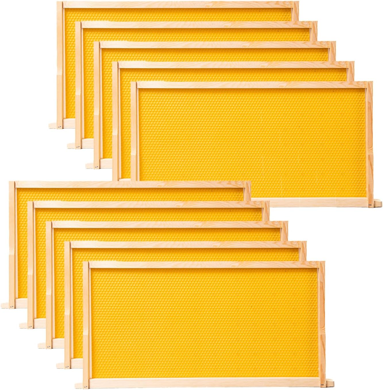 Pack 10 Marcos Colmena 9-1/8pulg Bases Plástico Cera Amarillo