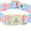 Collar perro estampado animales marinos rosa