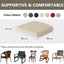 2 Cojines Silla Exterior 20x20" Resistentes Agua