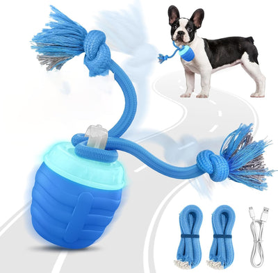 Juguetes interactivos perros tacto pelota rebota cuerda chirriante