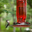 Comedero vidrio colibríes 6 puertos para jardín rojo