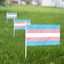 Bandera trans 5x8pulg set 12 resistentes decoloración