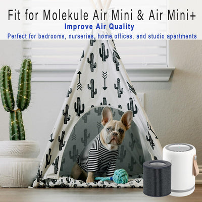 Filtro aire Molekule Air Mini 3en1 alta eficiencia