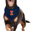 Bandana para perro Illinois Fighting Illini Talla Grande