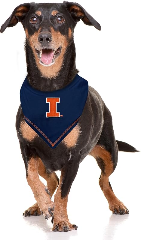 Bandana para perro Illinois Fighting Illini Talla Grande