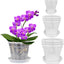 Maceta orquídea 4.3-6.1" transparente set 9