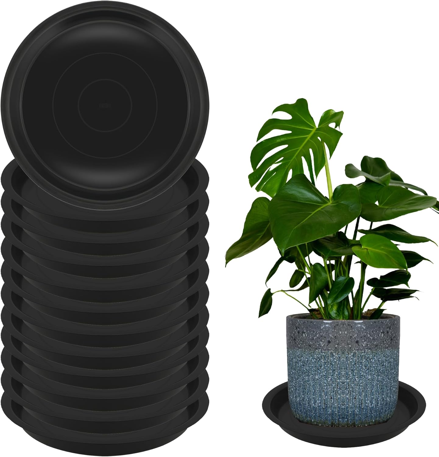 12 Pzas Platillos Redondos 12" para Plantas y Exteriores
