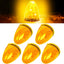 5 Luces LED Ámbar Separación Techo Camión Kenworth