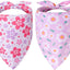 2 Bandanas Reversibles para Mascotas Estampado Floral Morado Rosa