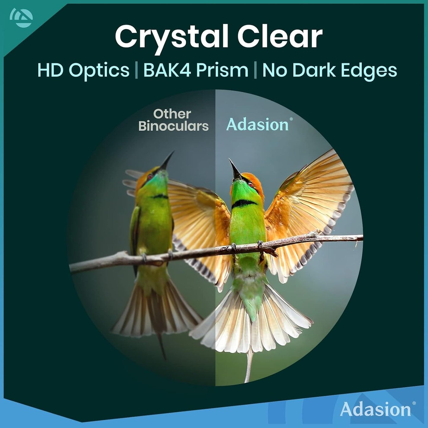 Prismáticos HD 12x42 Bak4 para observación aves caza