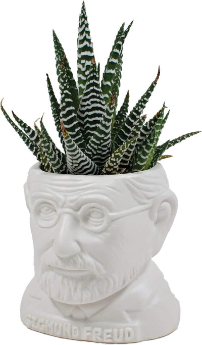 Maceta cerámica con busto de Freud