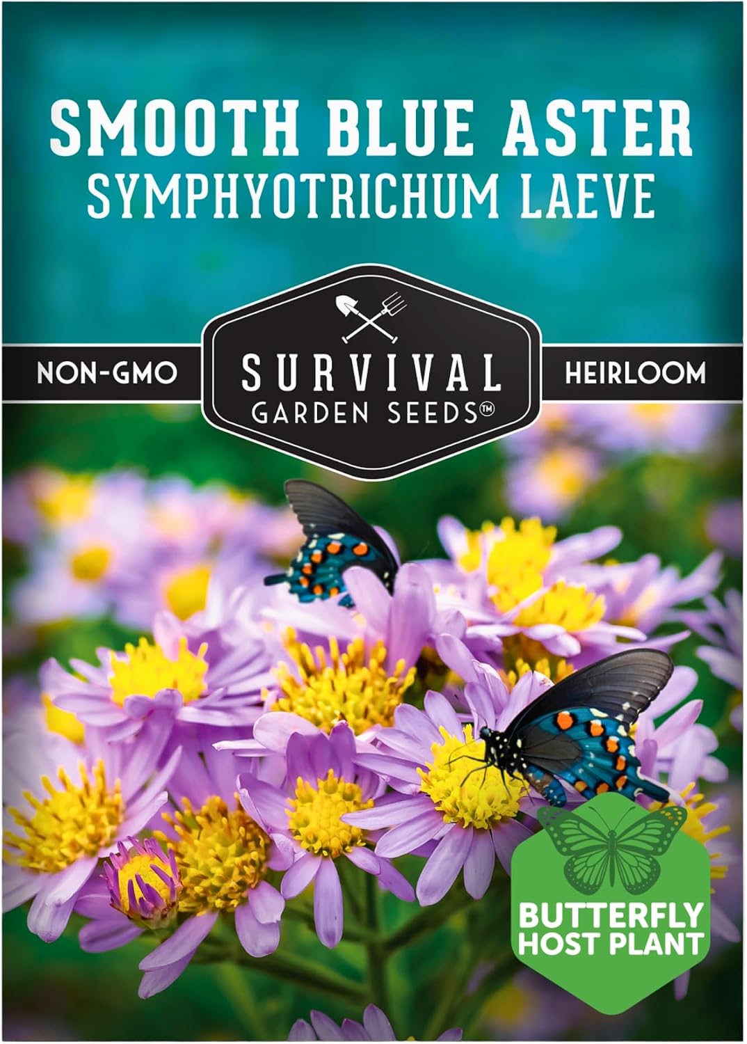 Semillas Aster Blue Aster Flor silvestre paquete 1