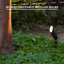 Iluminación paisaje 12V LED MR11 3W 100lm cable conectores