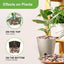 Rocas decorativas 10lb para macetas y jardín 1-1 1/2"