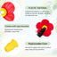 16 Flores Repuesto Alimentador Colibríes con Cepillos Limpieza