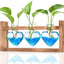 Estación propagación plantas jarrón vidrio 3 bombillas madera decoración