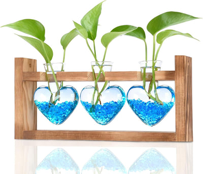 Estación propagación plantas jarrón vidrio 3 bombillas madera decoración