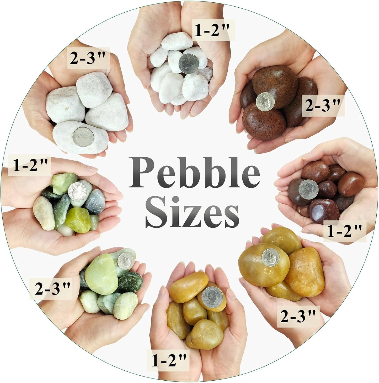 Rocas verdes pulidas 1-2" para suculentas y jardín
